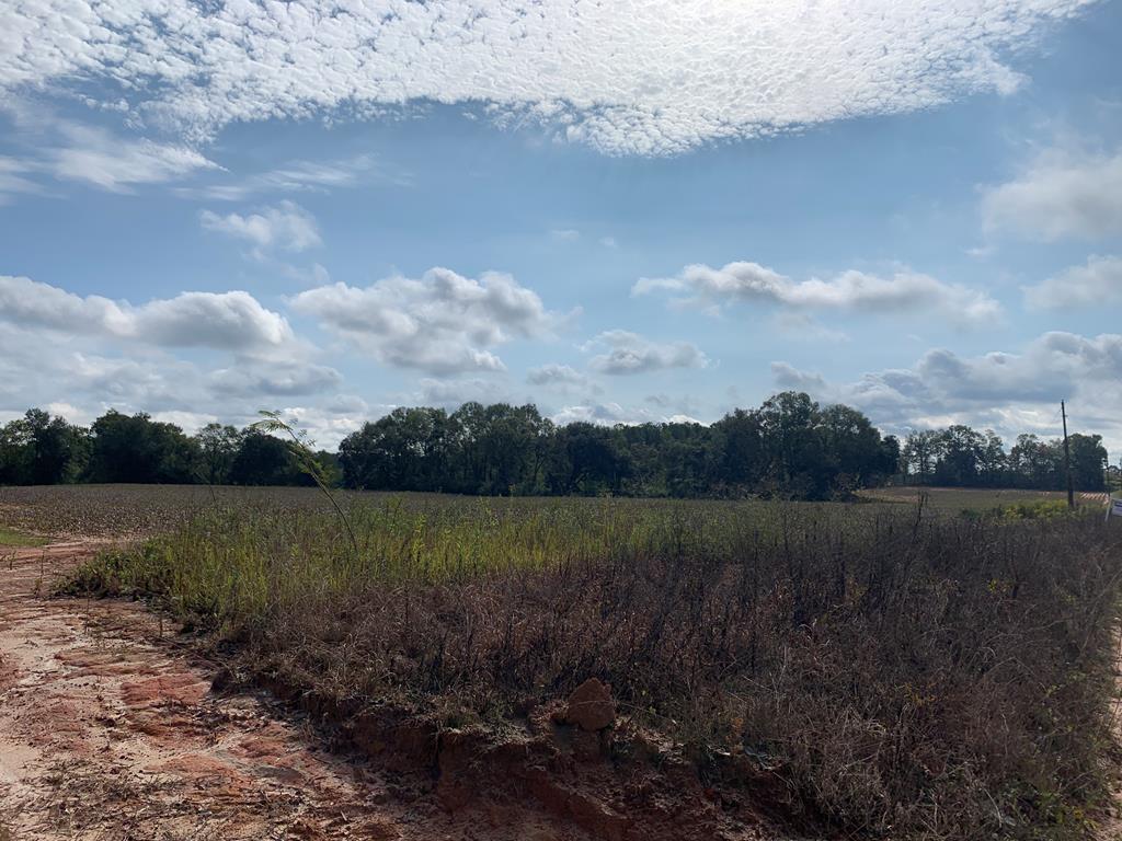 0 St Stephens Road Slocomb, AL 36375 - Photo 4 of 7