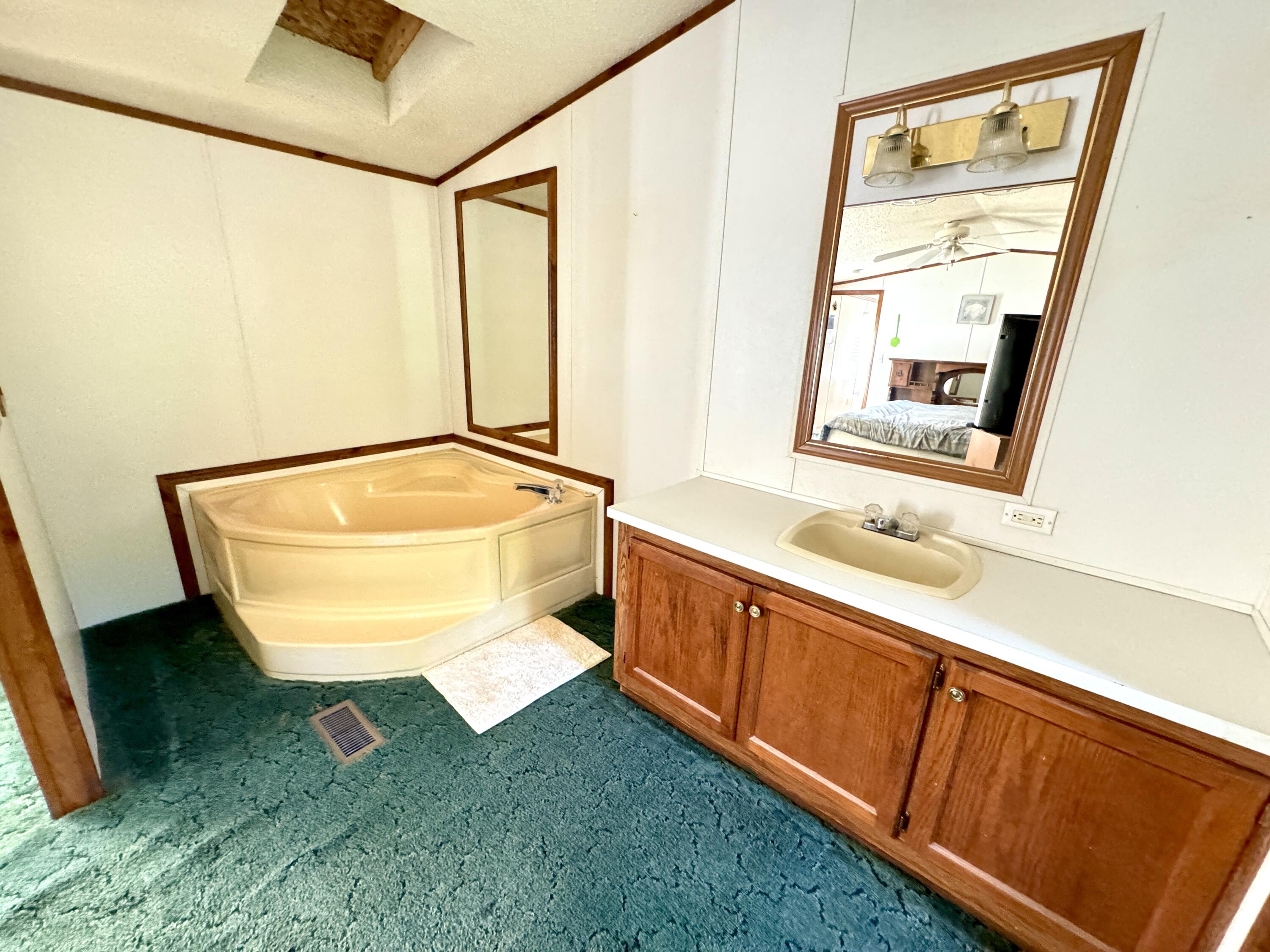 6822 East 16 Mile Road Reed City, MI 49677 - Photo 9 of 13 primary bathroom