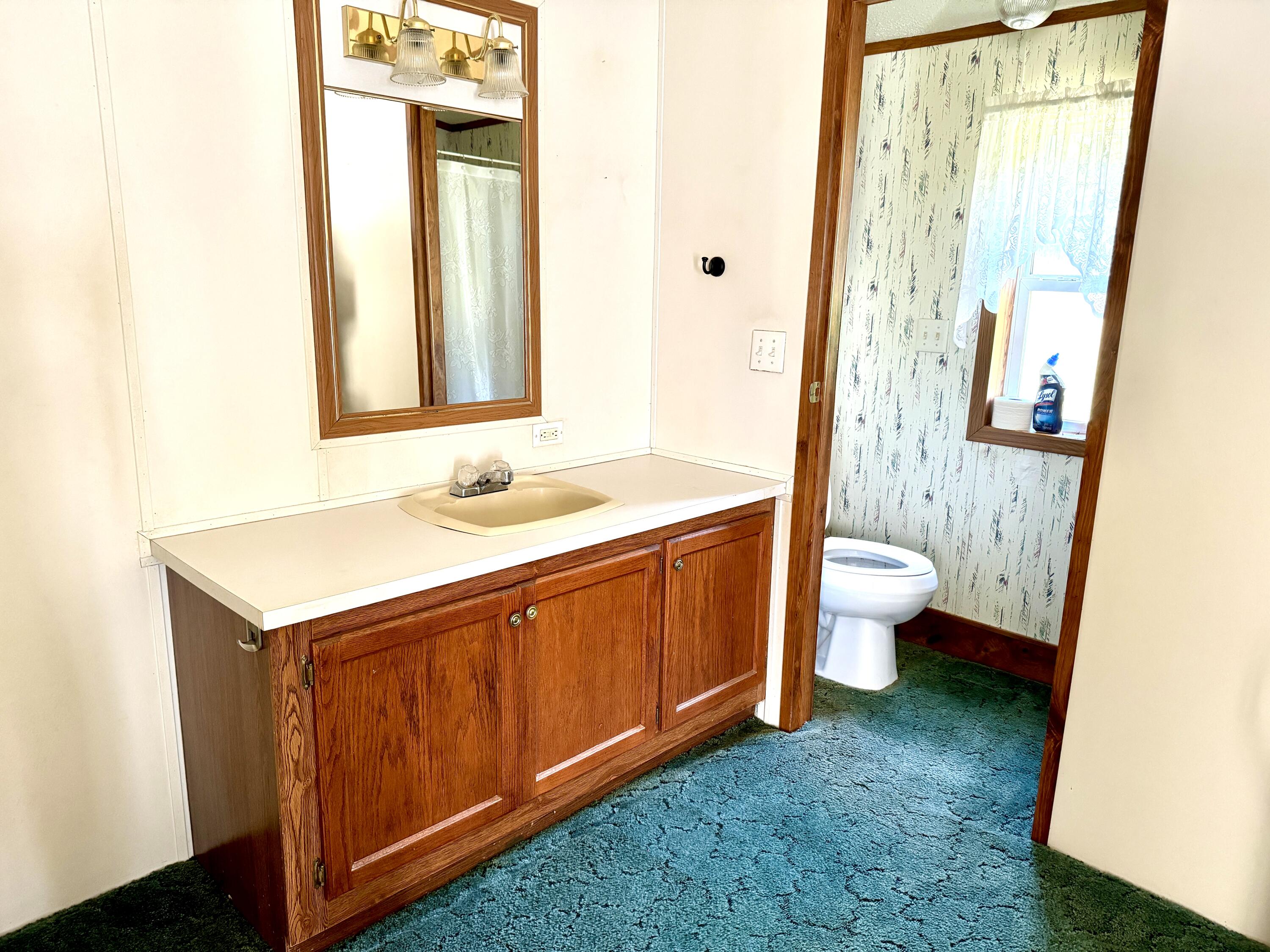 6822 East 16 Mile Road Reed City, MI 49677 - Photo 10 of 13 primary bathroom