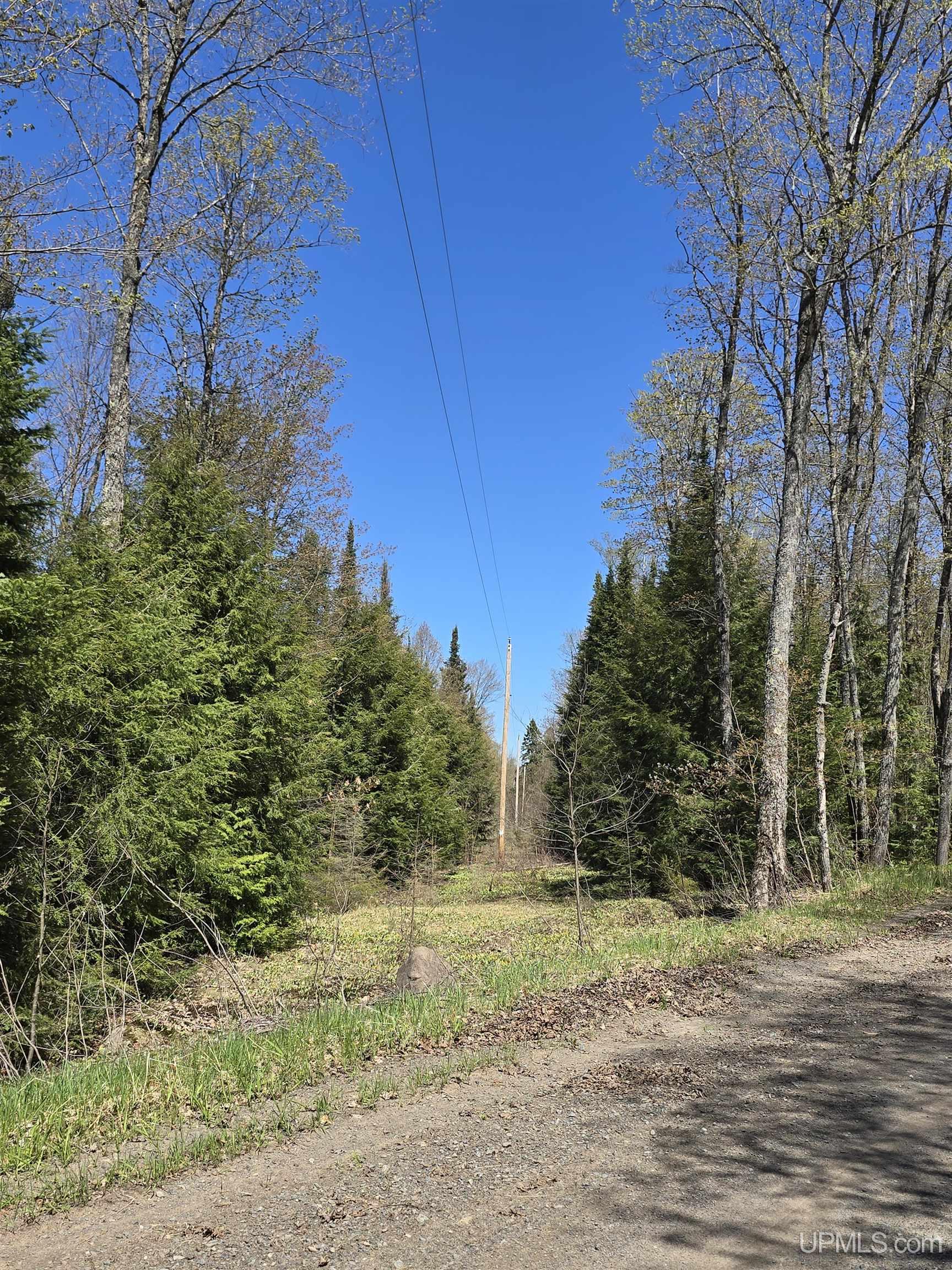 Tbd Murphy Road Covington, MI 49919 - Photo 9 of 57