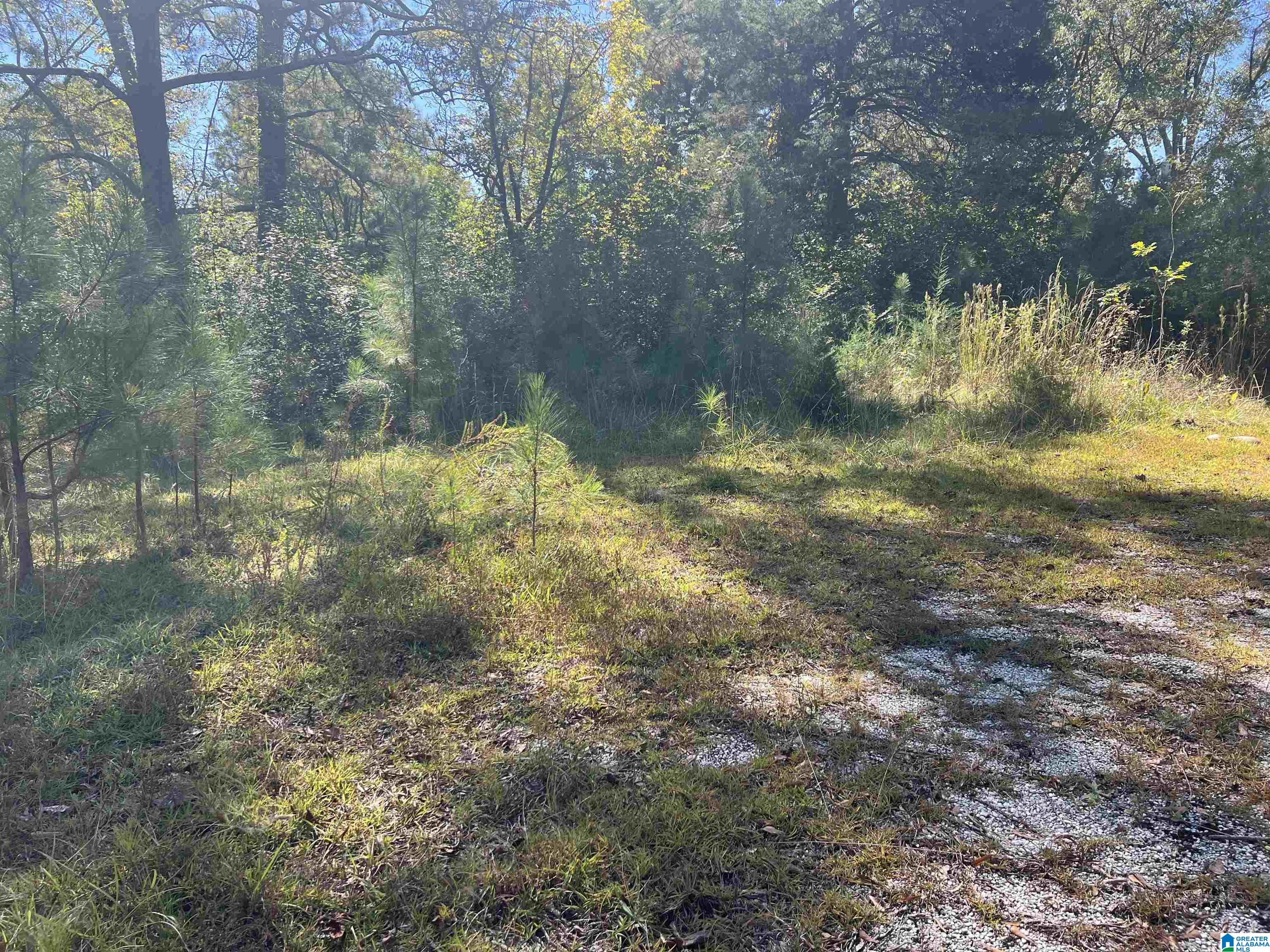 0 Odens Mill Road Sylacauga, AL 35151 - Photo 18 of 23