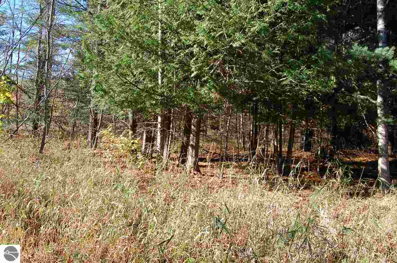 0 North Dundas Rd Rapid Alden, MI 49612 - Photo 8 of 12