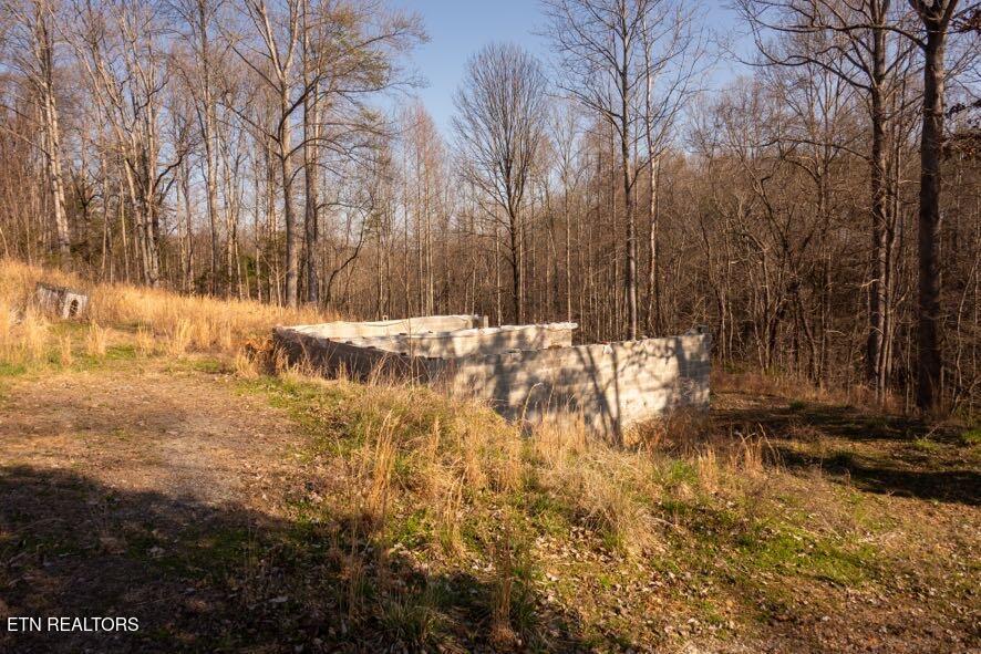 174 Turkey Town Road Hilham, TN 38568 - Photo 11 of 20 Z62_0264