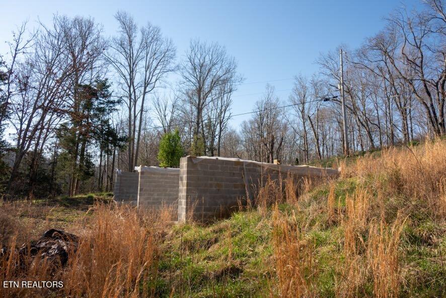 174 Turkey Town Road Hilham, TN 38568 - Photo 14 of 20 Z62_0279