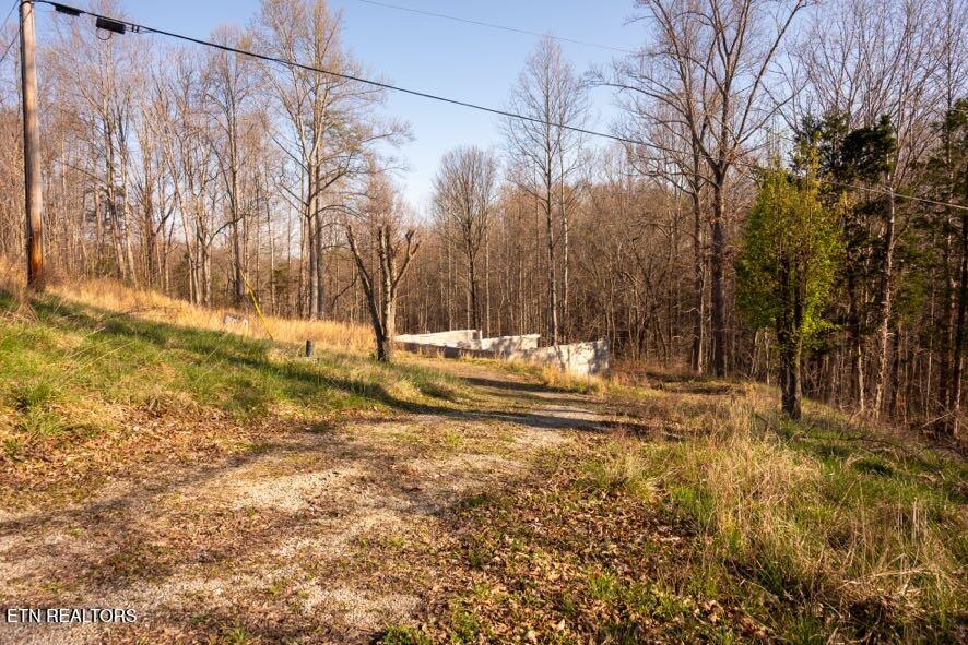 174 Turkey Town Road Hilham, TN 38568 - Photo 5 of 20 Z62_0251