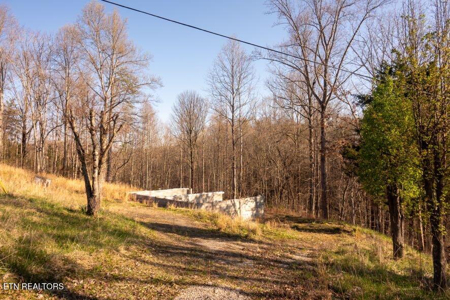 174 Turkey Town Road Hilham, TN 38568 - Photo 7 of 20 Z62_0253