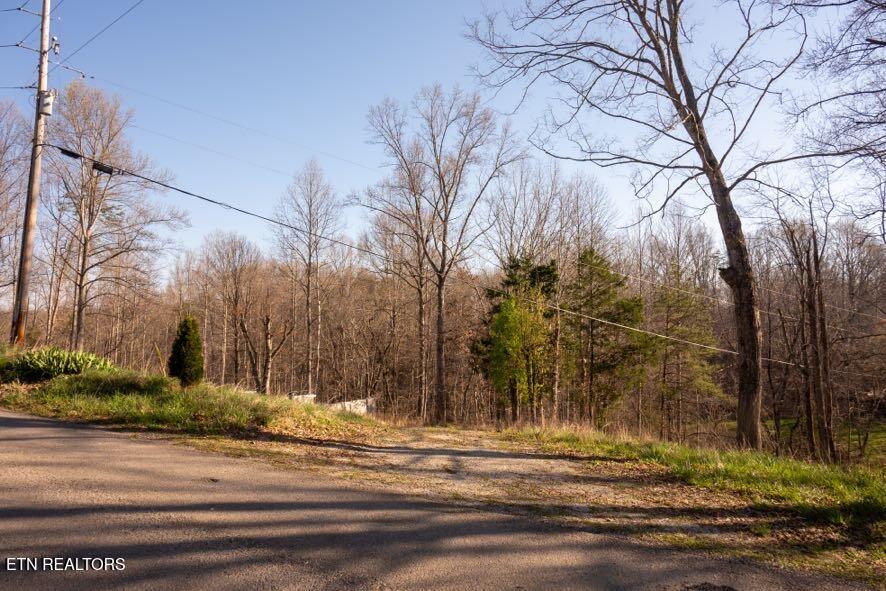 174 Turkey Town Road Hilham, TN 38568 - Photo 8 of 20 Z62_0258