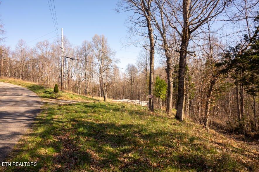174 Turkey Town Road Hilham, TN 38568 - Photo 9 of 20 Z62_0260