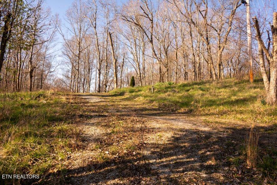 174 Turkey Town Road Hilham, TN 38568 - Photo 10 of 20 Z62_0262
