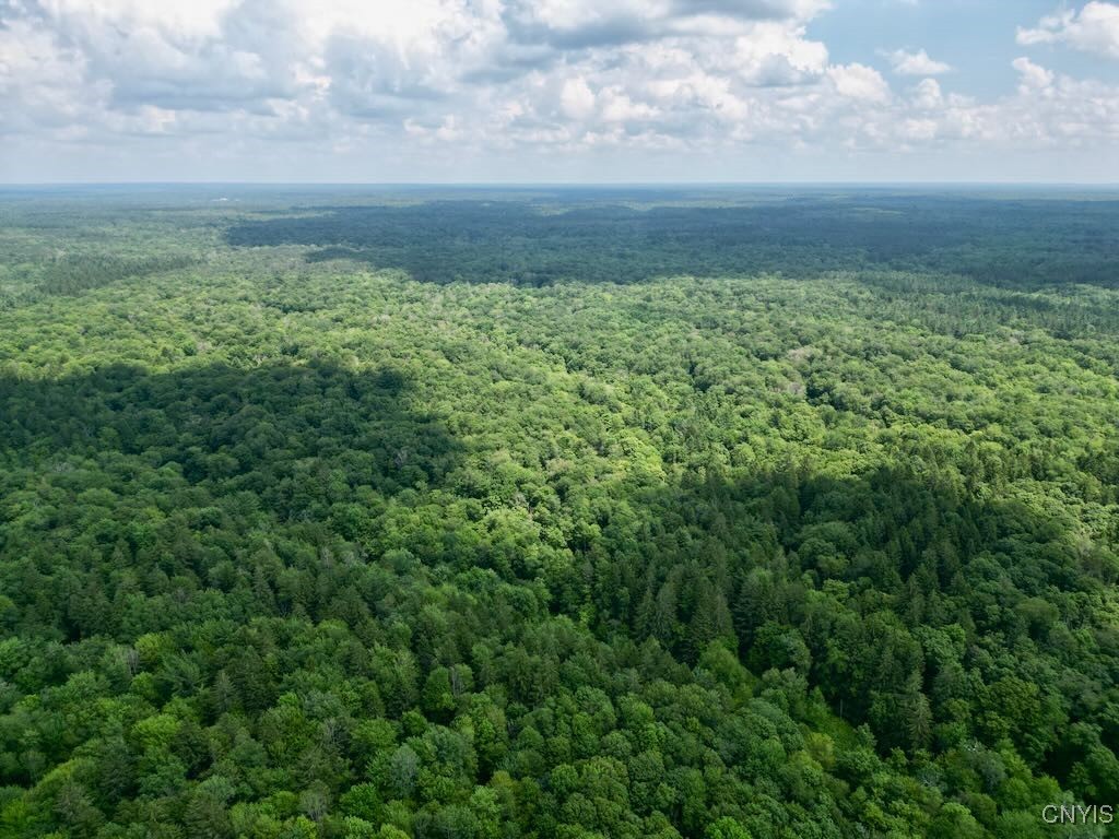 516 Wart Road Boylston, NY 13083 - Photo 7 of 42