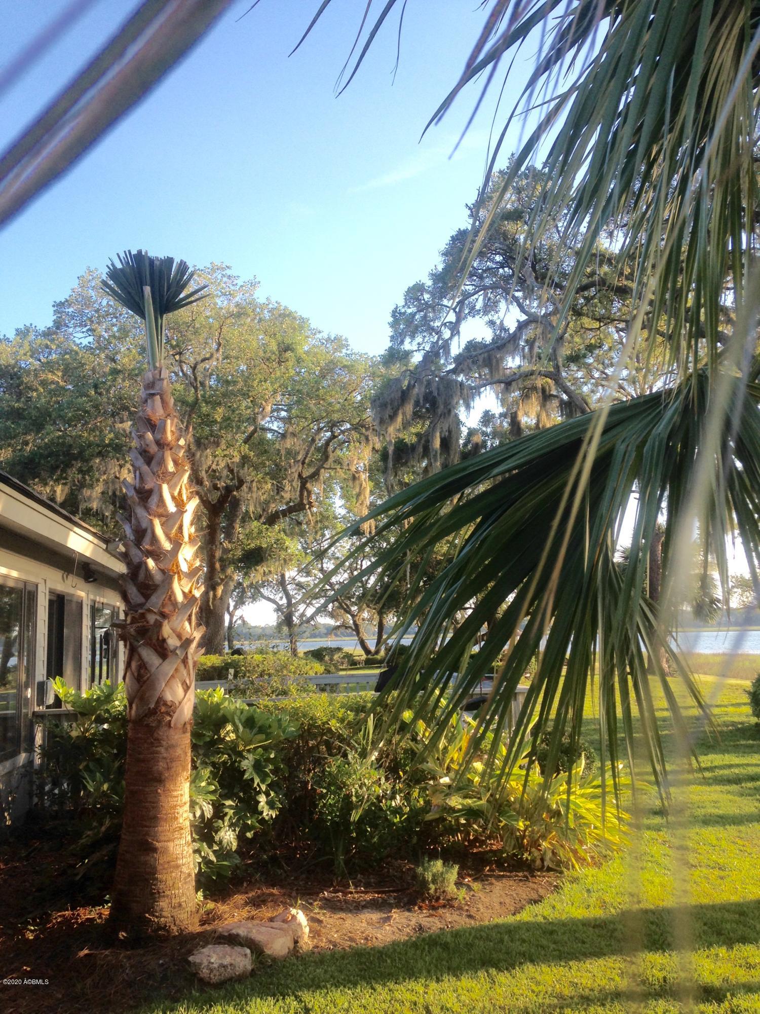 33 B Colony Gardens Road Beaufort, SC 29907 - Photo 25 of 42 Backyard 4