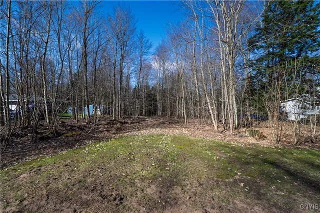 $36,300 | Baum Road, Hastings, NY 13076