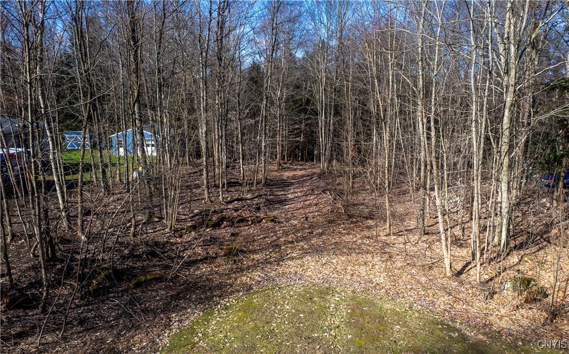 Baum Road Hastings, NY 13076 - Photo 2 of 6