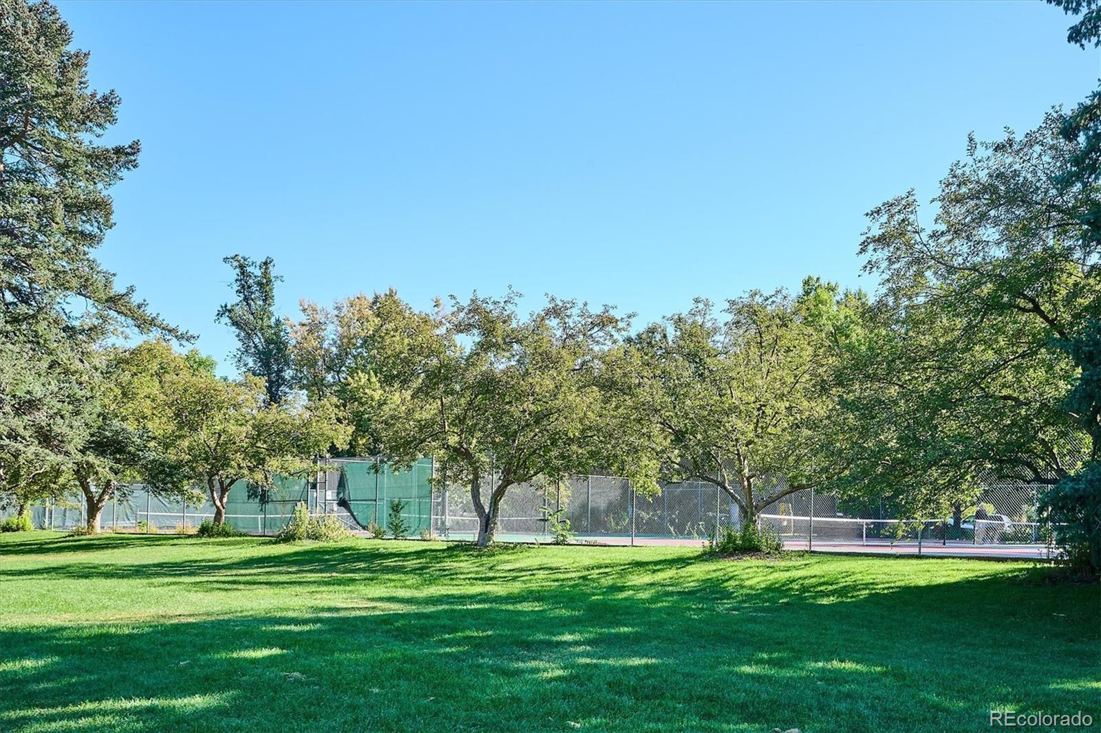 2363 South Adams Street Denver, CO 80210 - Photo 49 of 50 a view of a park with large trees