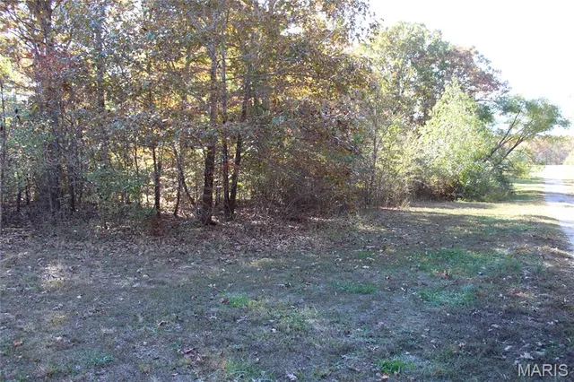 $25,000 | Tbd Sandpiper Ln. Lane, Fairdealing, MO 63939