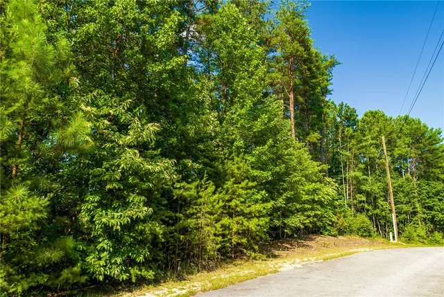 $30,000 | 0 N-35 A Meadow View Way, Salem, SC 29676