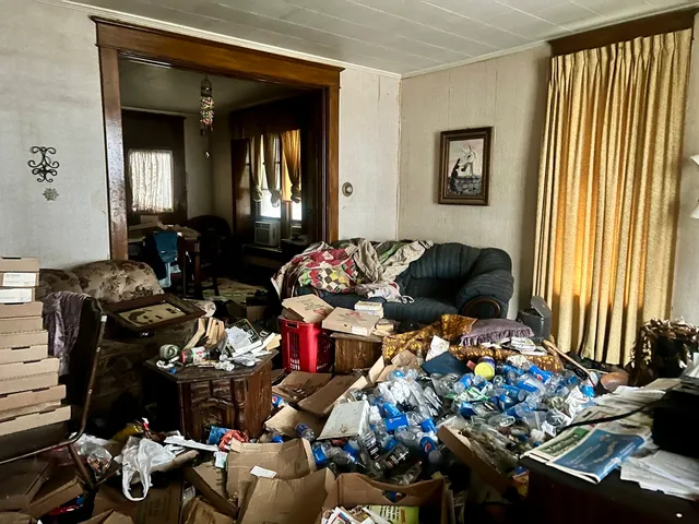 a living room with lots of flowers and toys