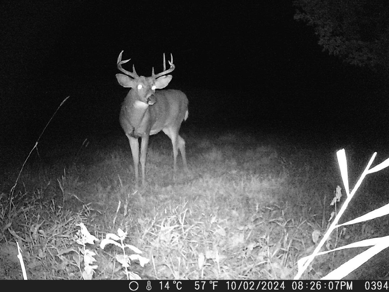 Tbd Deer Road Canton, MN 55922 - Photo 8 of 18 Gallery Image 8