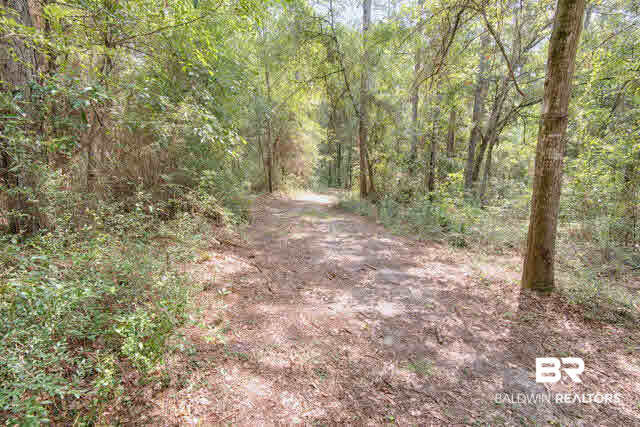 20596 Langford Road Fairhope, AL 36532 - Photo 35 of 41 Trail To River
