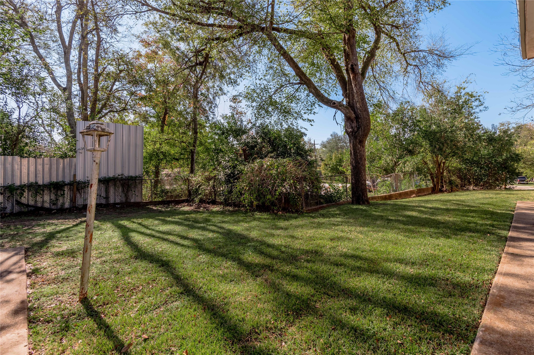 525 12th Street, Unit 7 Huntsville, TX 77340 - Photo 20 of 21 a view of a backyard with large trees