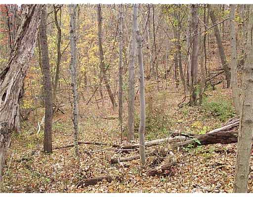 0 Dry Ridge Road St. Albans, WV 25177 - Photo 5 of 5 Land/Lot.