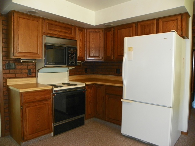 1600 Scully Road Dwight, IL 60420 - Photo 5 of 31