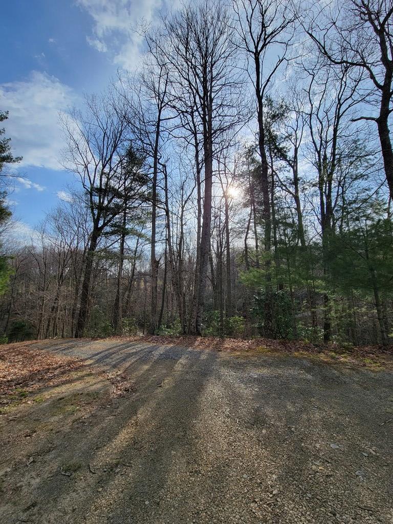 921 Blue Ridge School Road Fancy Gap, VA 24328 - Photo 6 of 51 Gallery Image 6