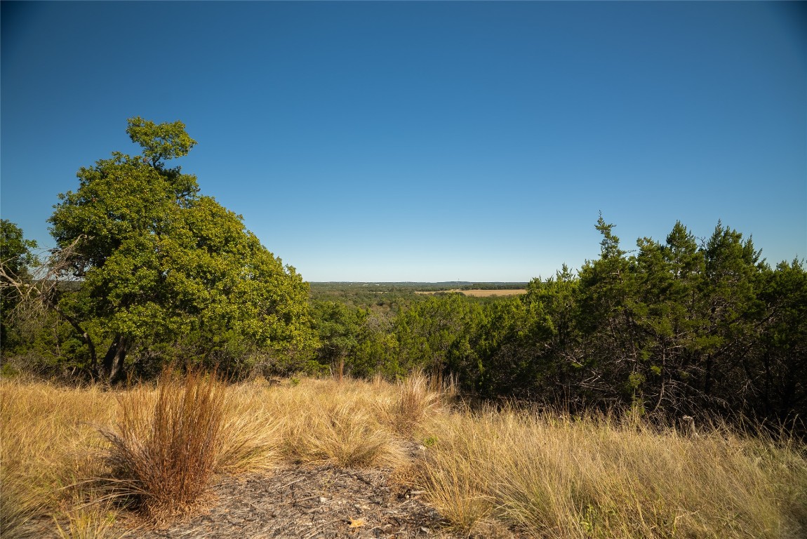 0 Country Lane Dripping Springs, TX 78620 - Photo 11 of 15