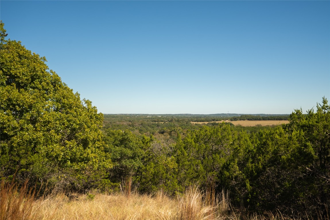 0 Country Lane Dripping Springs, TX 78620 - Photo 10 of 15