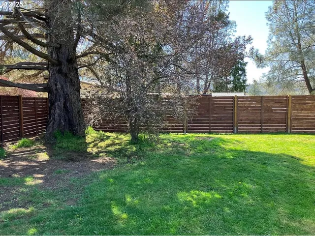 a view of a yard with a tree