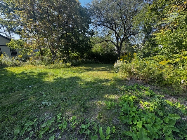 461 Sullivan Road North Aurora, IL 60542 - Photo 5 of 7 a view of outdoor space and yard