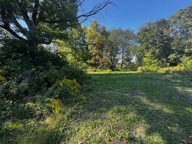 461 Sullivan Road North Aurora, IL 60542 - Photo 6 of 7 a view of a big yard with plants and large trees