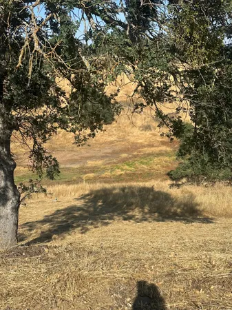 $60,000 | 75 Cormorant Drive, Wallace, CA 95254