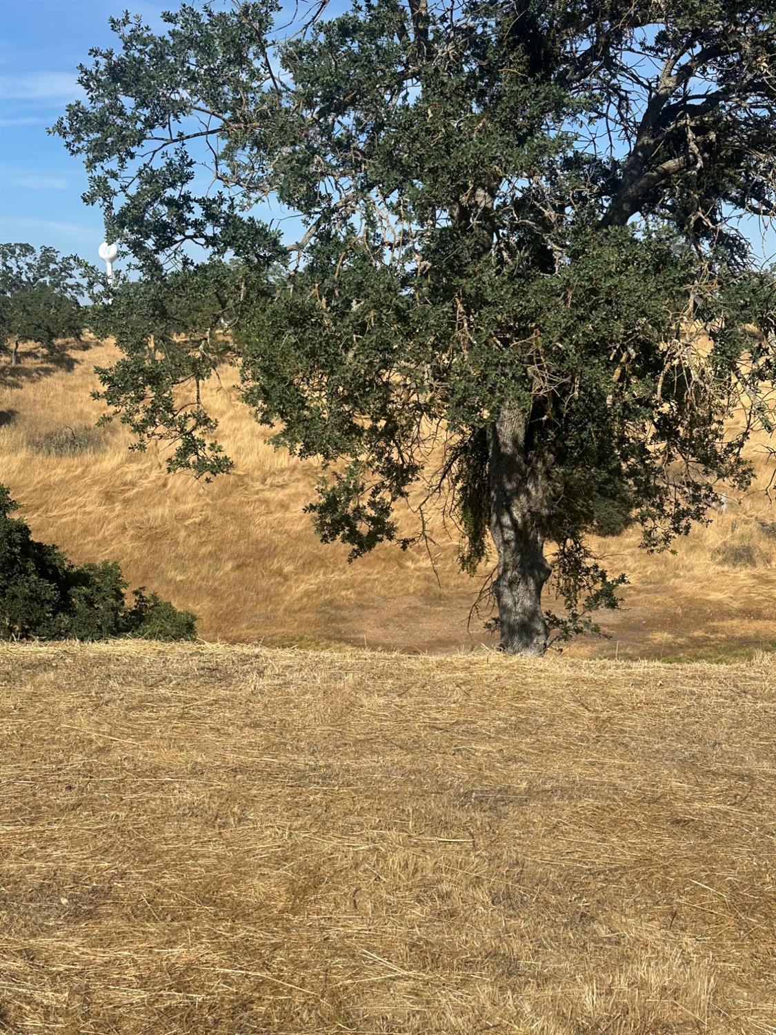 75 Cormorant Drive Wallace, CA 95254 - Photo 5 of 6