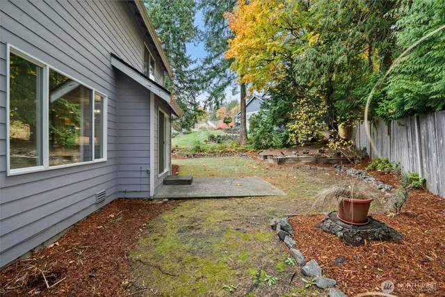a view of a backyard with plants and large trees