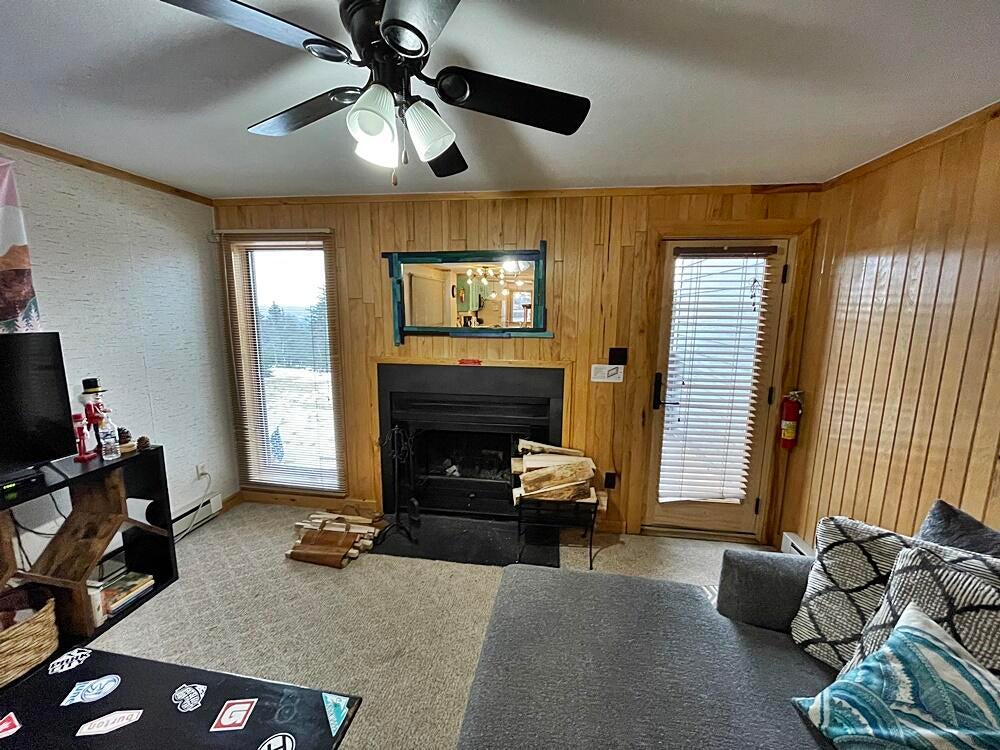 47 Powderidge Road, Unit 36 Snowshoe, WV 26209 - Photo 9 of 21 Gallery Image 9