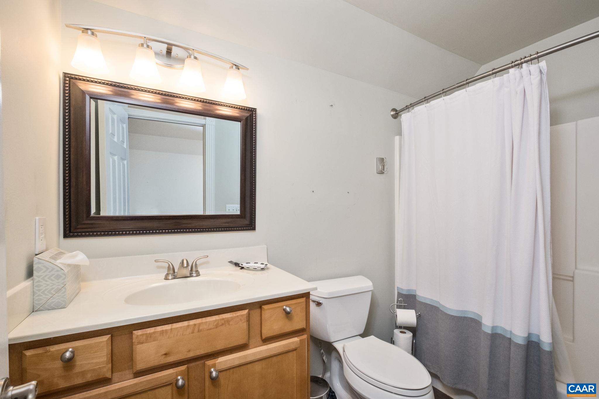 3309 Martin Kings Road Charlottesville, VA 22902 - Photo 43 of 58