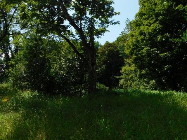 $50,000 | 6 Mill Street, Marlow, NH 03456