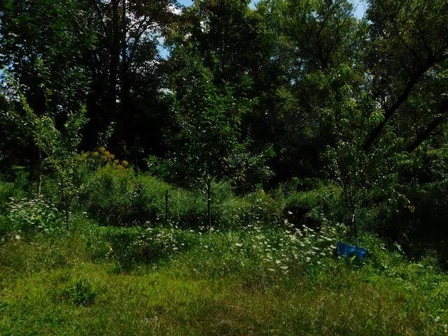 $50,000 | 6 Mill Street, Marlow, NH 03456