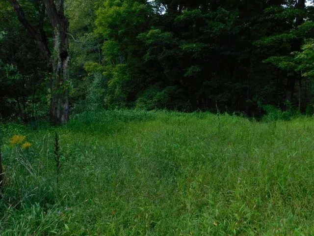 $50,000 | 6 Mill Street, Marlow, NH 03456