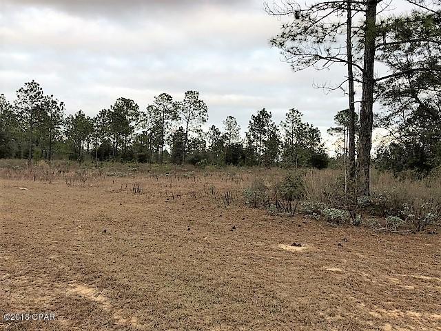 811 Cornwell Road Alford, FL 32420 - Photo 14 of 16