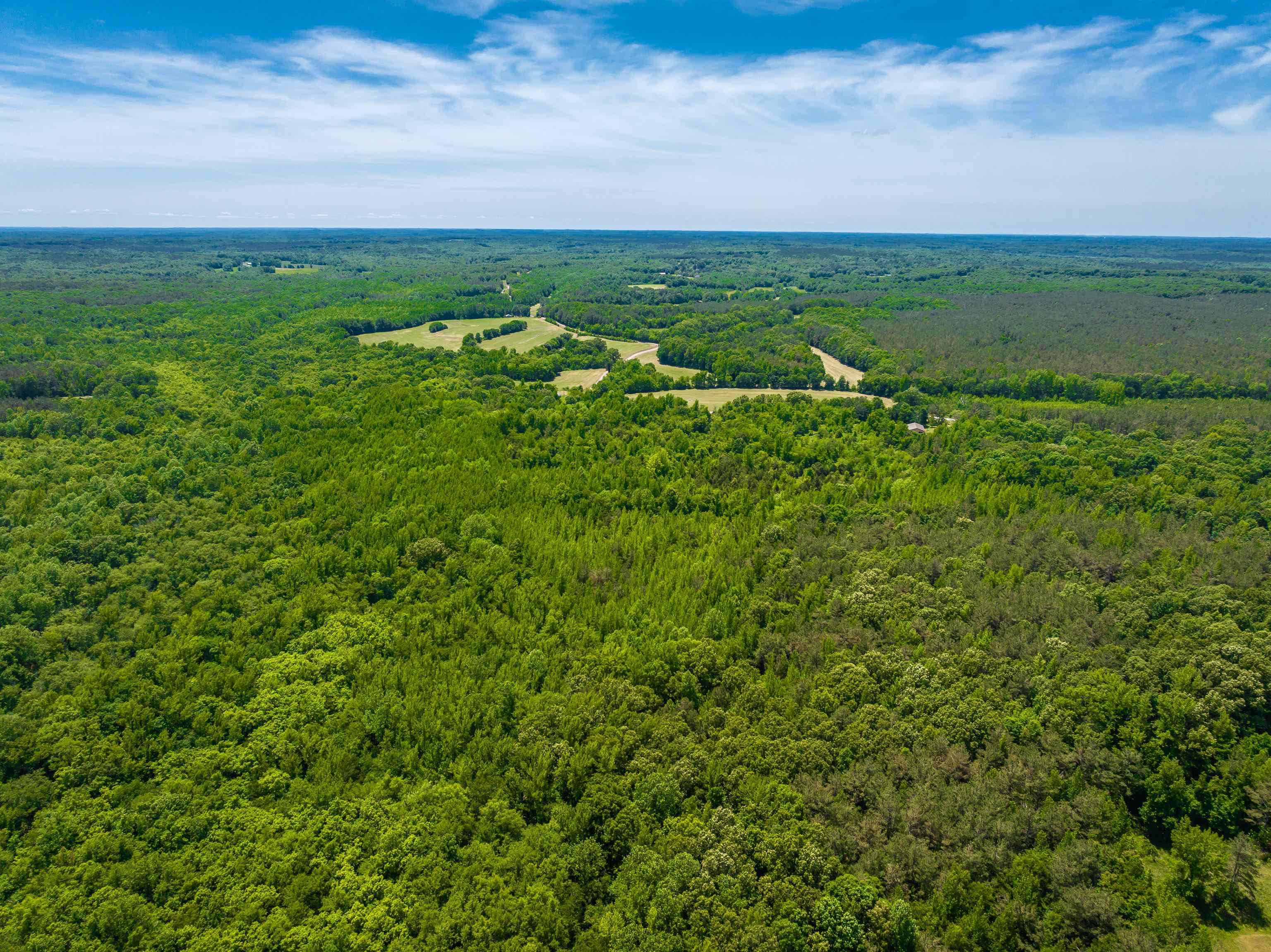 2340 Center Hill Road Finger, TN 38334 - Photo 8 of 21 a view of a bunch of trees