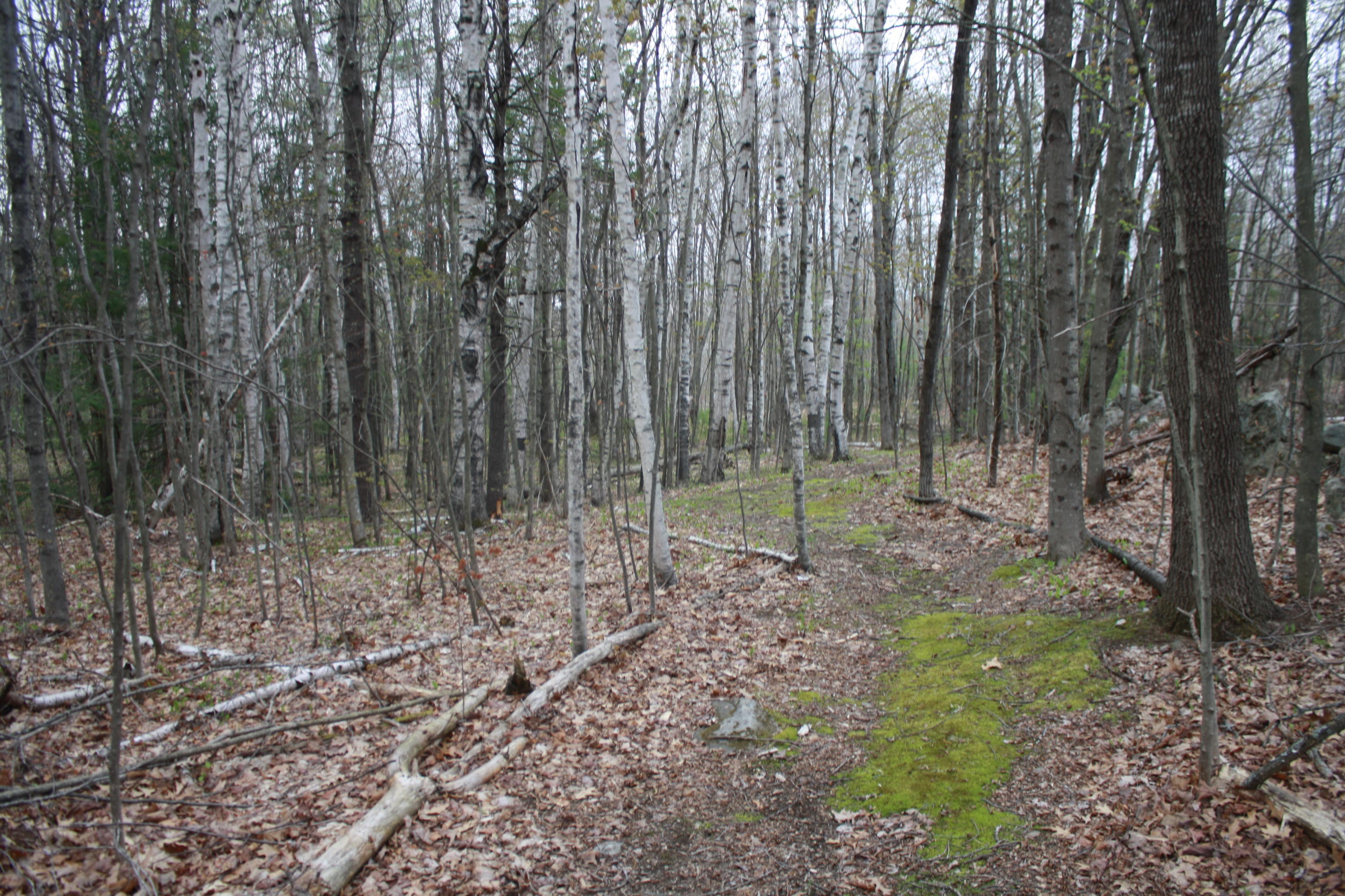 213 Townhouse Road East Waterboro, ME 04030 - Photo 90 of 127 IMG_2535