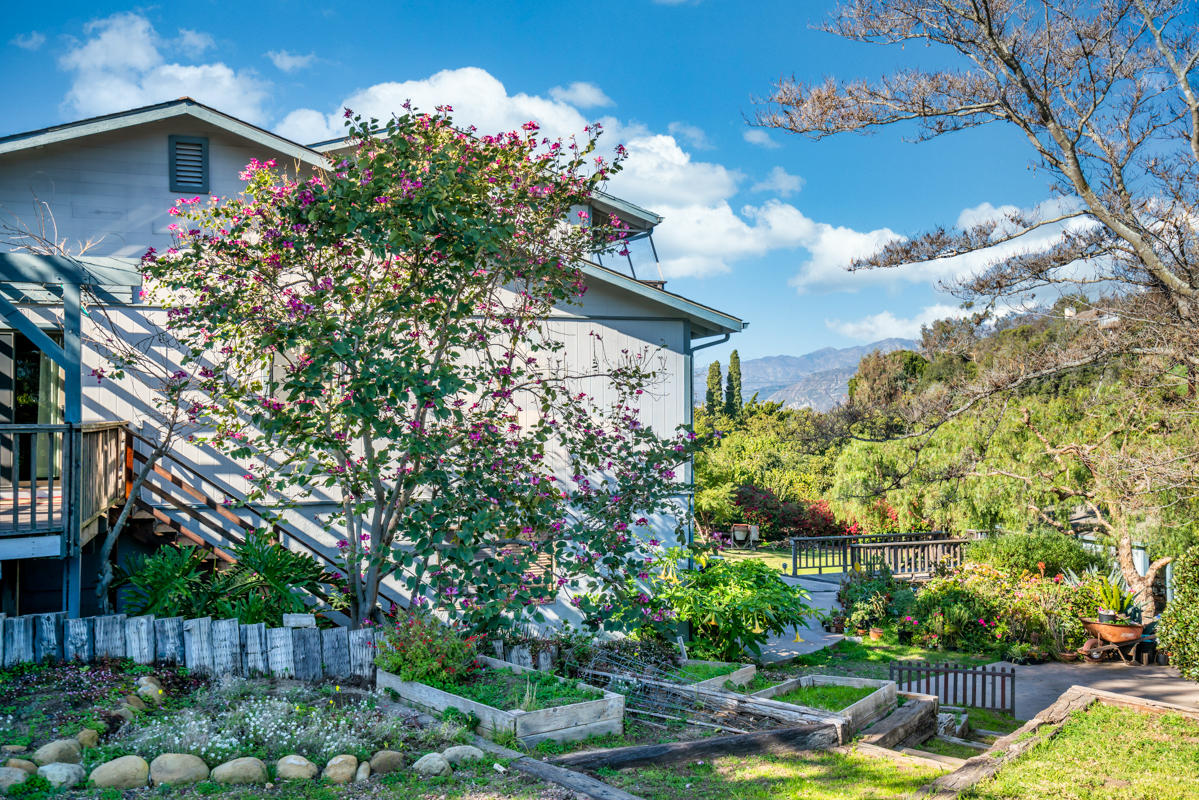 7031 Shepard Mesa Road Carpinteria, CA 93013 - Photo 26 of 30 Lush landscape