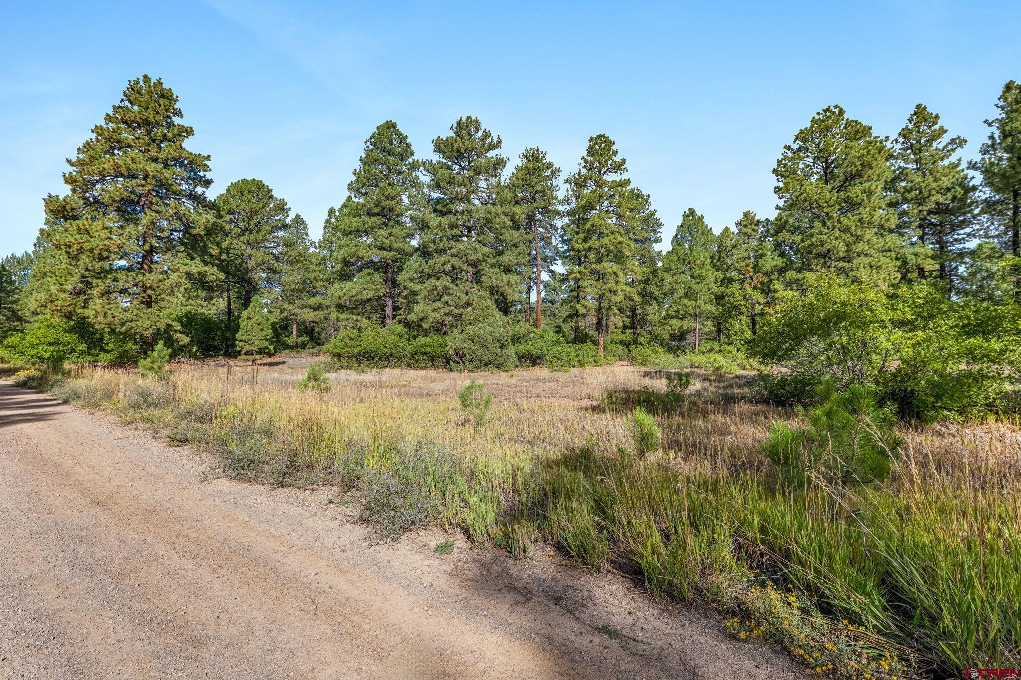 Tbd Vaquero Way Durango, CO 81303 - Photo 13 of 38 a view of a lake view with houses in back