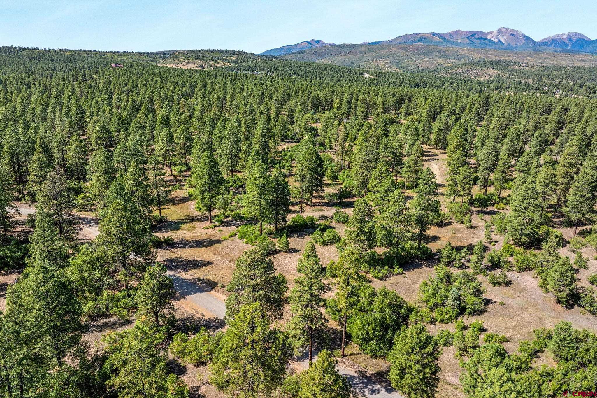 Tbd Vaquero Way Durango, CO 81303 - Photo 29 of 38 a view of a forest with a forest