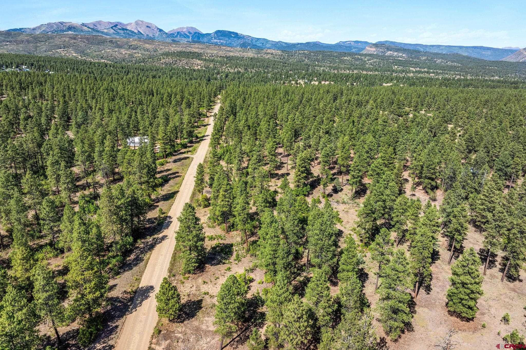 Tbd Vaquero Way Durango, CO 81303 - Photo 33 of 38 a view of a lush green forest with mountains in the background