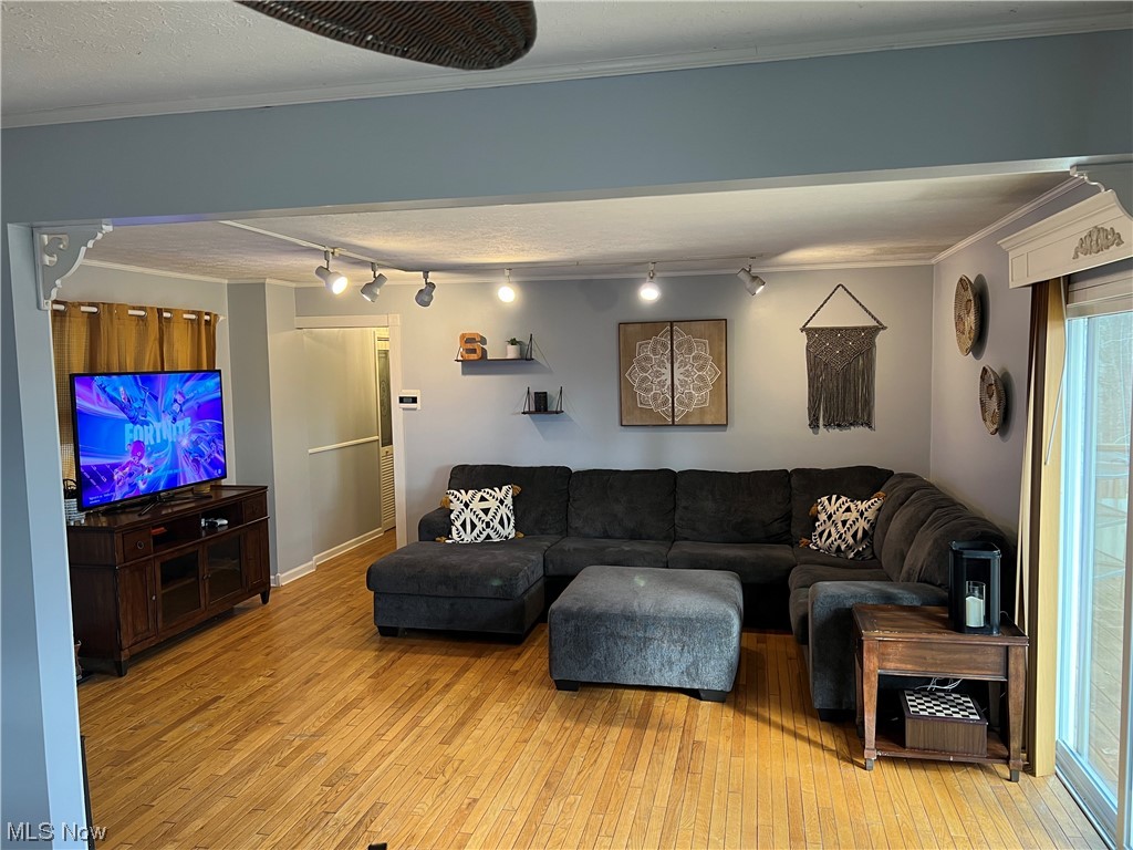 6950 Walker Road Walker, WV 26180 - Photo 2 of 22 Living room with a textured ceiling, light wood-type flooring, rail lighting, and crown molding