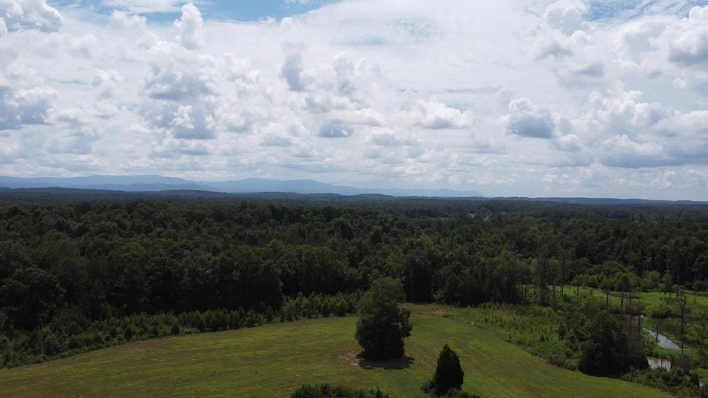 347 Strawhill Road Southeast Cleveland, TN 37323 - Photo 13 of 22 strawhill 13