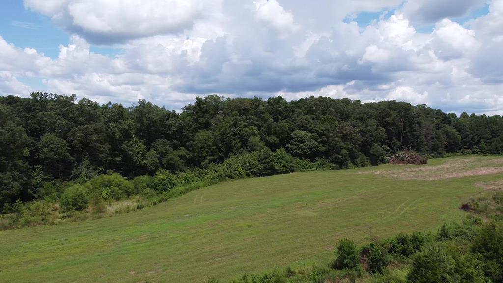 347 Strawhill Road Southeast Cleveland, TN 37323 - Photo 15 of 22 strawhill 15